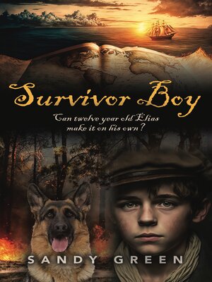cover image of SURVIVOR BOY